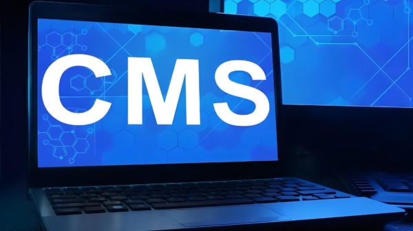 CMS：引领企业网站设计新风尚